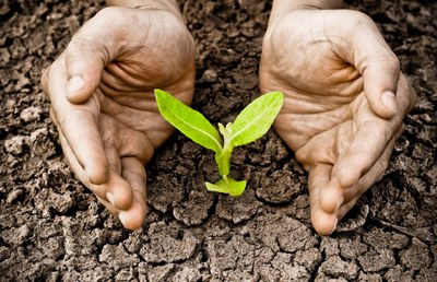 Formatore Agricolo Ambientale